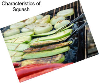 Characteristics of Squash