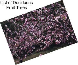List of Deciduous Fruit Trees