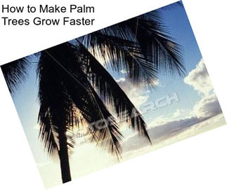 How to Make Palm Trees Grow Faster