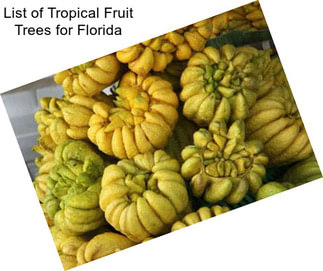 List of Tropical Fruit Trees for Florida