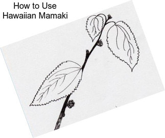 How to Use Hawaiian Mamaki