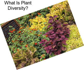 What Is Plant Diversity?