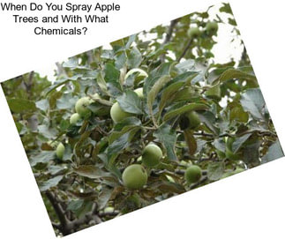 When Do You Spray Apple Trees and With What Chemicals?