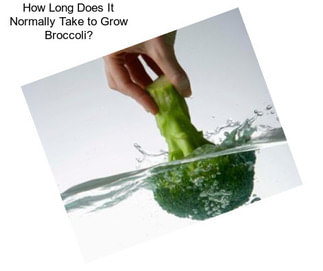 How Long Does It Normally Take to Grow Broccoli?