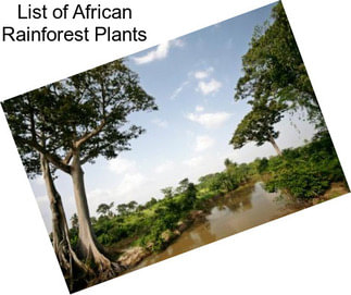 List of African Rainforest Plants