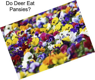 Do Deer Eat Pansies?