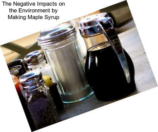 The Negative Impacts on the Environment by Making Maple Syrup