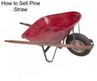 How to Sell Pine Straw