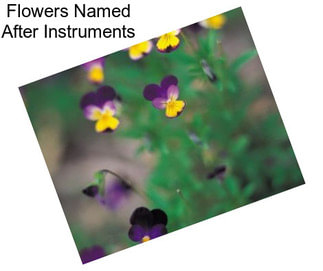 Flowers Named After Instruments