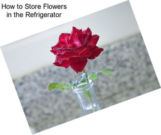 How to Store Flowers in the Refrigerator