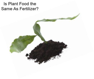 Is Plant Food the Same As Fertilizer?