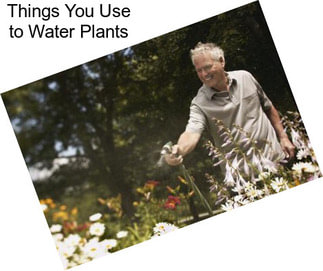Things You Use to Water Plants
