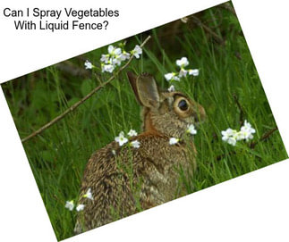 Can I Spray Vegetables With Liquid Fence?