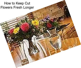 How to Keep Cut Flowers Fresh Longer