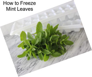How to Freeze Mint Leaves