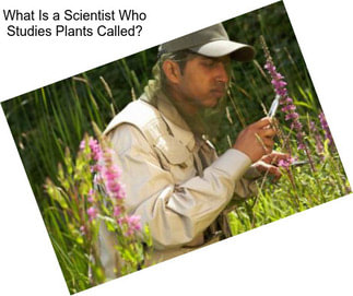 What Is a Scientist Who Studies Plants Called?