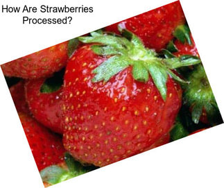 How Are Strawberries Processed?