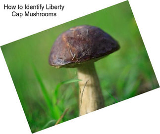 How to Identify Liberty Cap Mushrooms