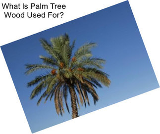 What Is Palm Tree Wood Used For?