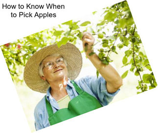 How to Know When to Pick Apples