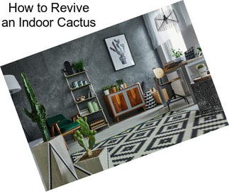 How to Revive an Indoor Cactus
