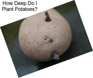 How Deep Do I Plant Potatoes?