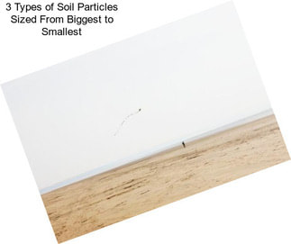 3 Types of Soil Particles Sized From Biggest to Smallest