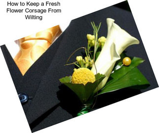 How to Keep a Fresh Flower Corsage From Wilting
