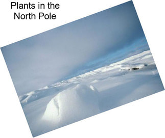 Plants in the North Pole