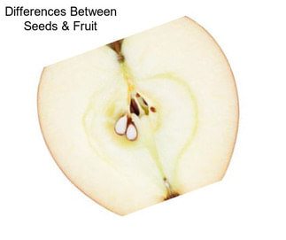 Differences Between Seeds & Fruit