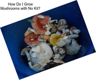 How Do I Grow Mushrooms with No Kit?