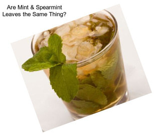 Are Mint & Spearmint Leaves the Same Thing?