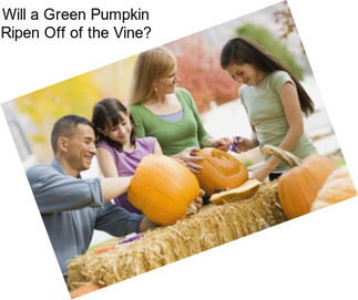 Will a Green Pumpkin Ripen Off of the Vine?
