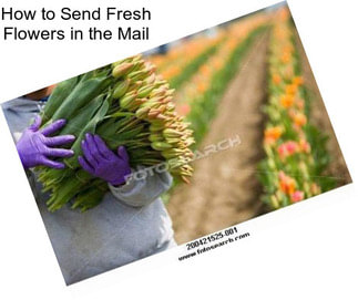 How to Send Fresh Flowers in the Mail