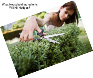 What Household Ingredients Will Kill Hedges?