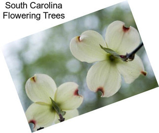 South Carolina Flowering Trees