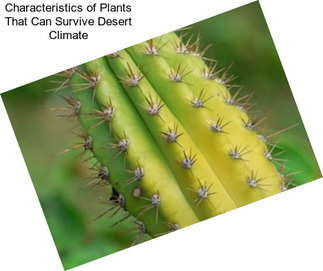 Characteristics of Plants That Can Survive Desert Climate