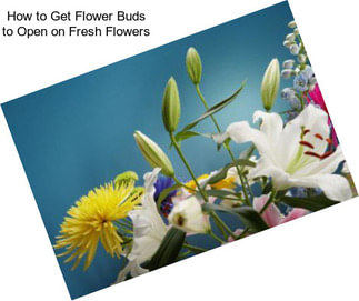 How to Get Flower Buds to Open on Fresh Flowers