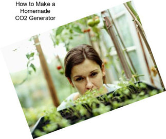 How to Make a Homemade CO2 Generator