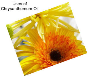 Uses of Chrysanthemum Oil