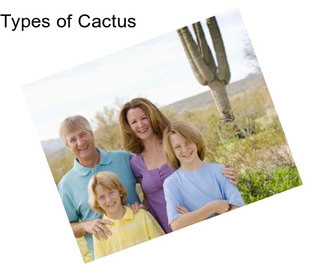 Types of Cactus