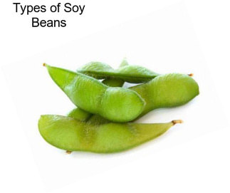 Types of Soy Beans