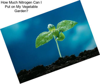 How Much Nitrogen Can I Put on My Vegetable Garden?