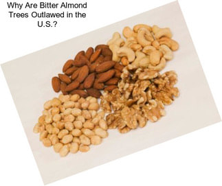 Why Are Bitter Almond Trees Outlawed in the U.S.?