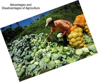 Advantages and Disadvantages of Agriculture