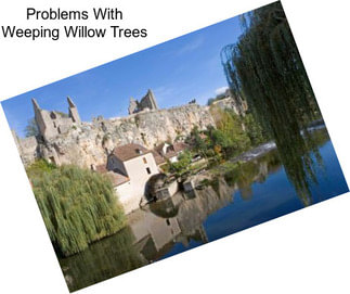 Problems With Weeping Willow Trees