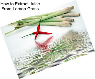 How to Extract Juice From Lemon Grass