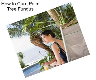 How to Cure Palm Tree Fungus
