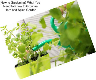 New to Gardening? What You Need to Know to Grow an Herb and Spice Garden
