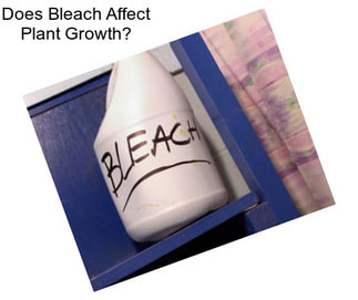 Does Bleach Affect Plant Growth?